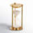 Vedika Hourglass