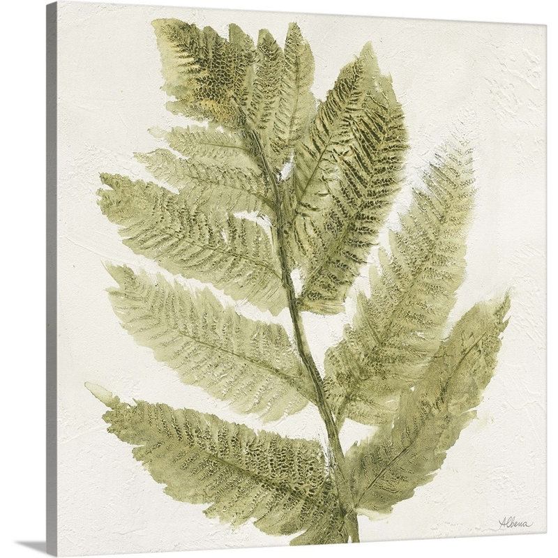 Forêt, fougères I, art mural, Toile tendue, H 30 po x l 30 po x P 1,25 po