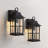 Zanyla 12.5" H Dusk to Dawn Outdoor Wall Lantern-1866164749