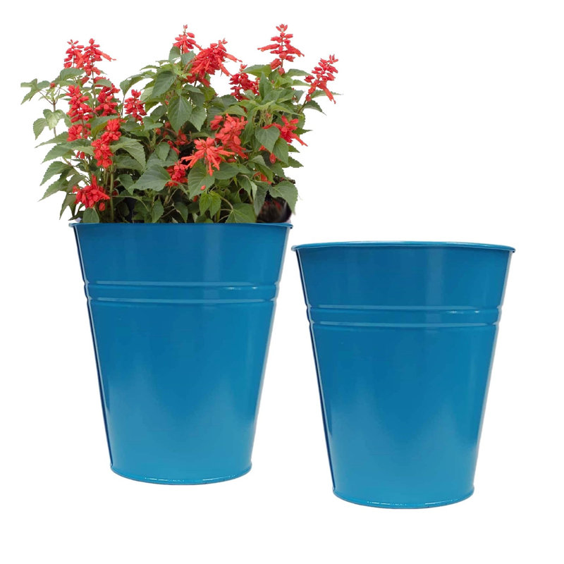 Pot de fleurs en acier émaillé galvanisé pour plantes de 8 po. Ensemble de deux, Bleu