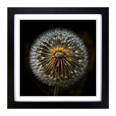 Dandelion Photograph No.1 - Framed Print