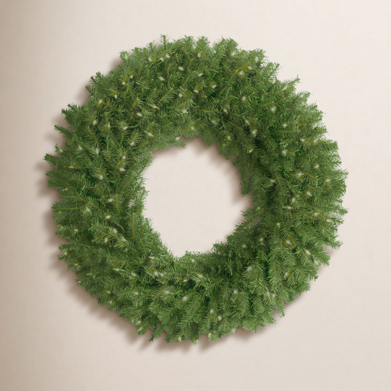 36 in. Norwood Fir Wreath, Clear Lights