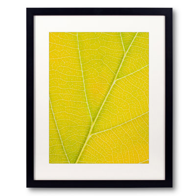 Autumn Leaf Print by Philippe Monthoux