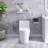 12 Inch One Piece 1.6/1.1 GPF Dual Flush Elongated Toilet In White Seat Included