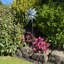 Windmill Garden Spinner