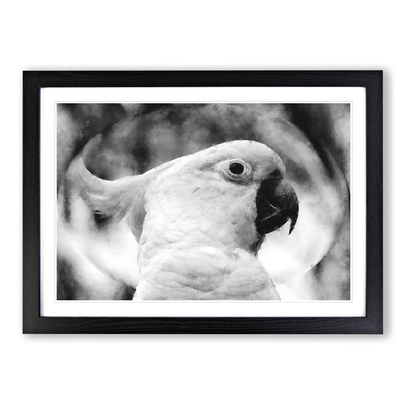 Cockatoo Bird Vol.2 - Picture Frame Graphic Art, 48cm H x 65cm W x 2cm D, Black Framed