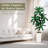 5FT Artificial Dracaena Plant Indoor – Tall Artificial Indoor Tree in Pot, Realistic Fake Plant Indoor
