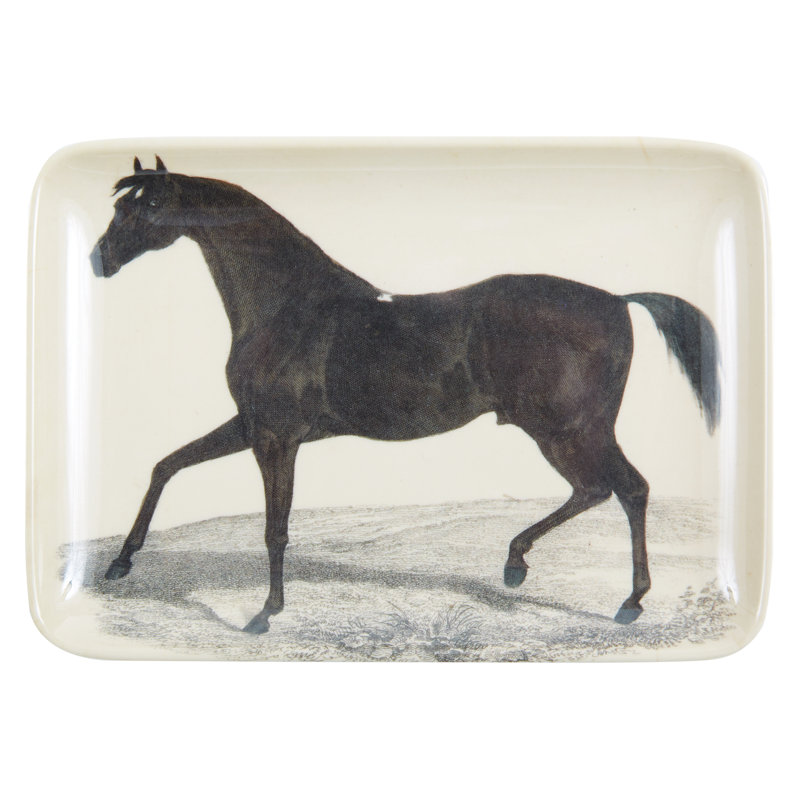 Gracie Oaks Lumturije Melamine Tray
