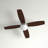 Phaze 52'' Ceiling Fan with Light Kit-6533846