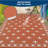 Geometric Reversible Outdoor Rug Waterproof Plastic Straw Patio Carpet for Deck, Porch, Garden, Camping, Balcony, RV, Beach, Picnic-304215557-304215561