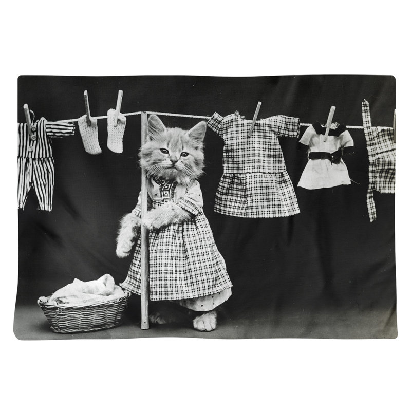 Récapitulatif 18" chat à linge rétro Nico Russo, Polyester sergé