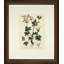 Verde Tinted Botanical I Print