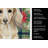 Longhaired Cream Dachshund Christmas PoinsettIas Kitchen Towel-2080584181