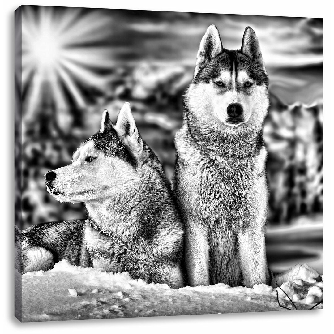 Leinwandbild Zwei wilde Huskies