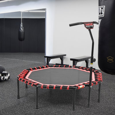 Crystina Freeport Park ft Octagon Backyard Trampoline