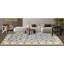Oriental Area Rug in Light Blue/Ivory-106952217