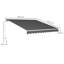 Latitude Run 295cm W x 250cm D Polyester Cover Retractable Patio Awning-1376184483