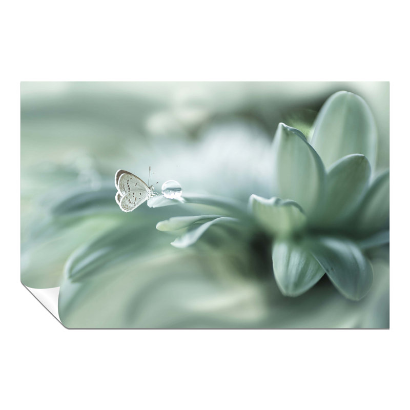 Butterfly And Dew Drops - No Frame Print on Canvas, Paper, 20cm H x 31cm W x 0.5cm D