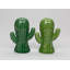 Cactus sel et poivre