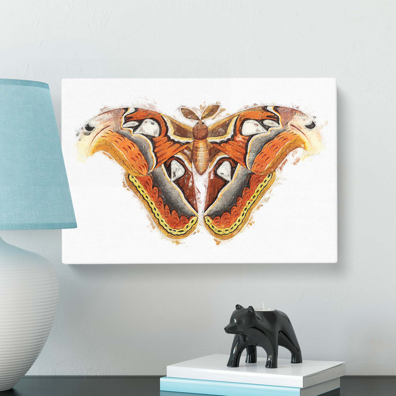 Atlas Moth by George Shaw - Wrapped Canvas Painting Pint - Wrapped Canvas, 40cm H x 60cm W x 3cm D