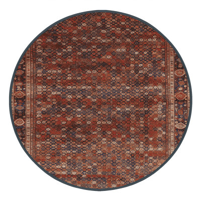 Machine Washable Persian Brown Area Rug