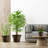 Plastic Flower Plant Pots Set of 4-900571083-900570931