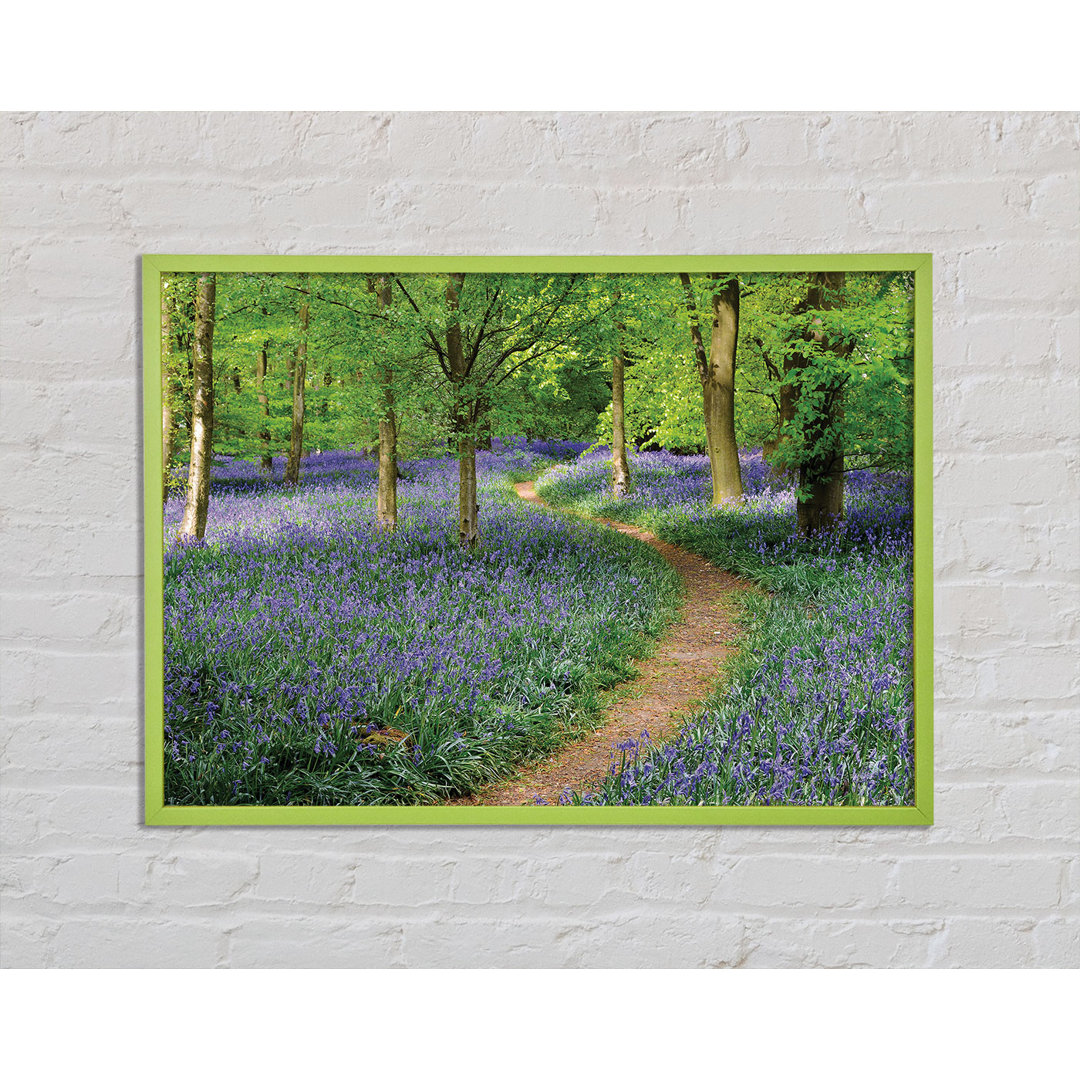 Walk Through The Bluebell Path - Einzelne Bilderrahmen Kunstdrucke