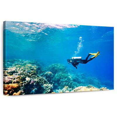 Senne Underwater Scuba Diver