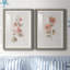 «Blush Sweetly I», ensemble de 2 reproductions d'art-282728386-391086764