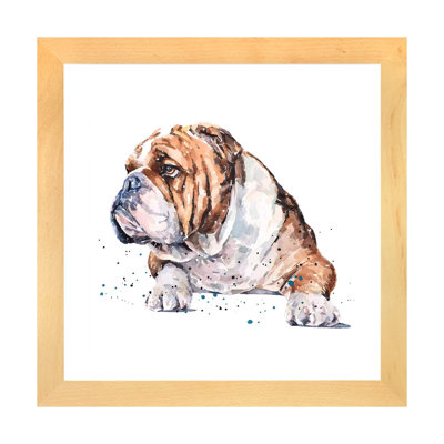 "English Bull Dog I" par Edwatercolours-impression
