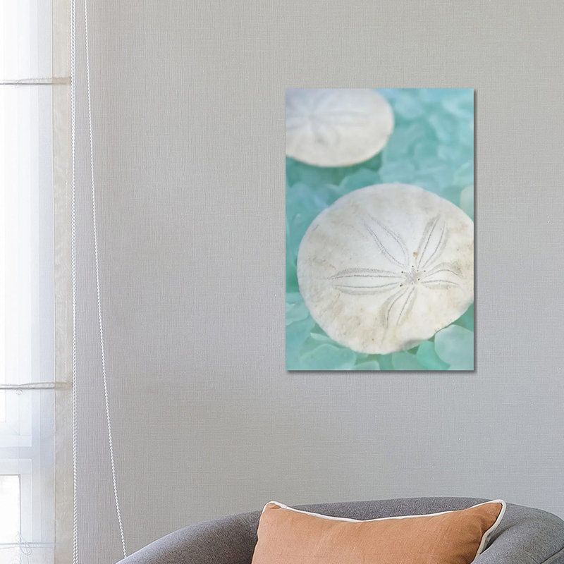 'Seaglass 3' by Alan Blaustein Graphic Art Print on Wrapped Canvas, 20.32 cm H x 30.48 cm W, Wrapped Canvas
