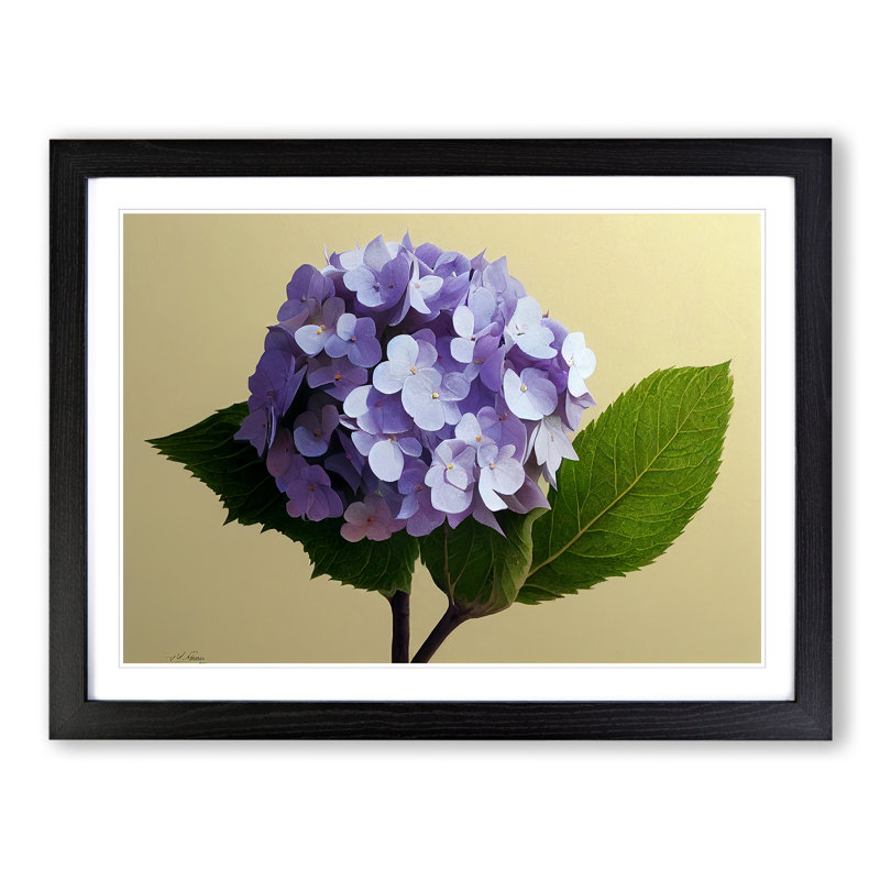 Hydrangea Flowers Vol.2 - Single Picture Frame Print, Black, 46cm H x 64cm W x 2cm D