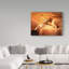 «Lioness on a Rock 2» par Ata Alishahi - reproduction d'art sur toile-31977403
