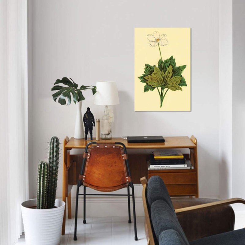 «Anemone» par PI Collection - impression sur toile tendue, H 40 po x l 26 po x P 1,5 po, Toile tendue, Pas de tapis
