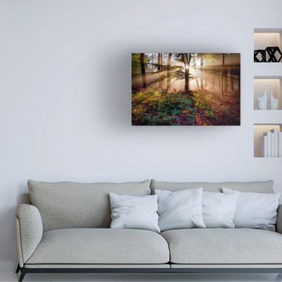 Art sur toile de Peter Bijsterveld, forêt magique