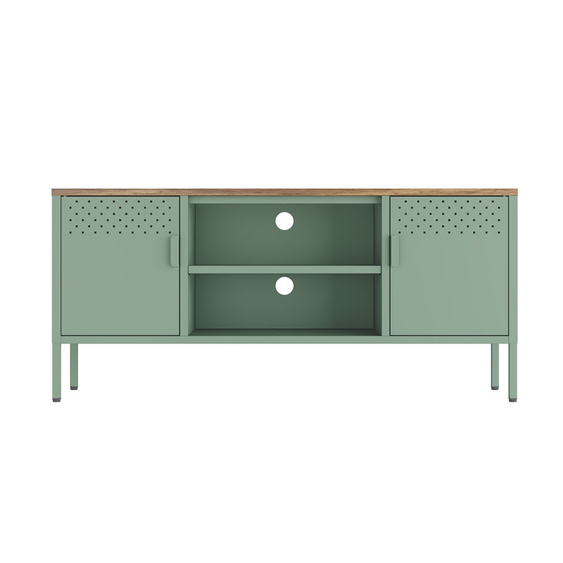 Landen 47 TV Stand with 6 Fixed Shelves, Green