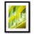 Black Framed Paper selected