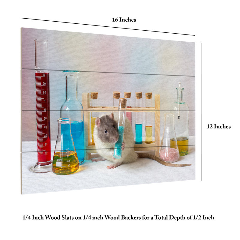 Ellen Van Deelen Qworkingq At The Lab Wood Slat Art, H 12 po x l 16 po