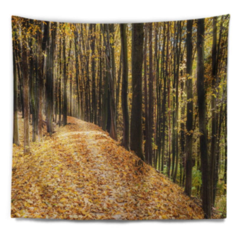 Tapisserie «Dense Autumn Forest Woods», H 32 po x l 39 po