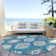 Chayden Washable Southwestern Indoor / Outdoor Rug