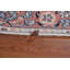 Tapis floral floral Sultanabad Ziegler