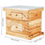 Trousse de démarrage Bee Hive à 20 cadres, bois de cèdre enduit de cire d'abeille, 1 trousse de ruches Langstroth, 1 fenêtre profonde et 1 boîte à abeilles moyennes, fenêtres en acrylique transparent avec Foundations pour les débutants Pro Beekeepers