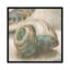 Coastal Gems II by John Seba - Print on Canvas-901907399-825259159