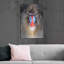 «Blush Mandrill» par Robert Campbell, art mural en métal-1140982075