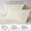 Machine Woven Sheet Set-503164862