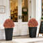 Arbre en pot 24 po-52325371