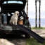 Rampe d'escalade portable tout-terrain pour animaux de compagnie - noire et sécuritaire, capacité de 90 kg, antidérapante, pliable pour plus de commodité Tactiques de gestion de l'espace Stable et robuste, double économie de charge