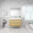 Cloude 42'' Single Bathroom Vanity with Acrylic Top-924724603