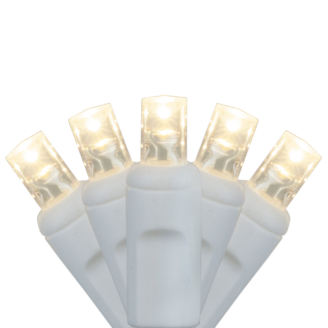 20 Light Christmas LED String Light Wintergreen Lighting Bulb 