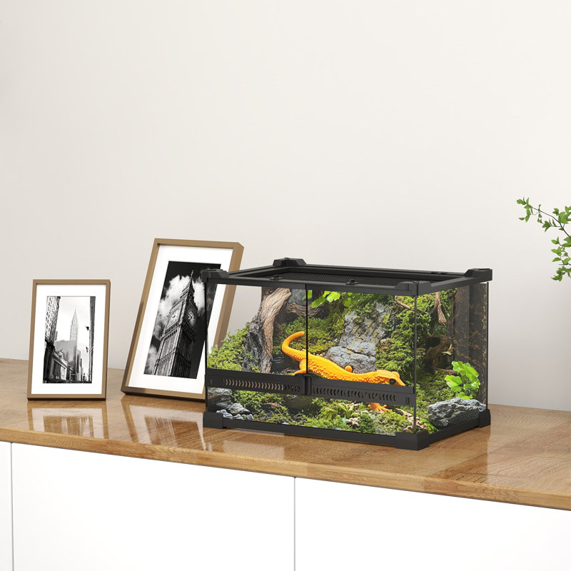 Reptile Box, 20cm H x 30cm W x 20cm D 